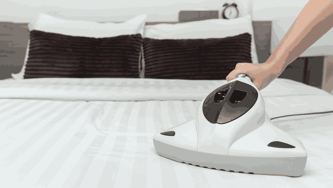 Professional Mattress Cleaning Yan Yean